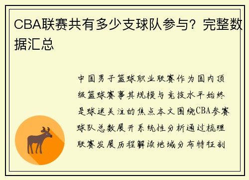CBA联赛共有多少支球队参与？完整数据汇总